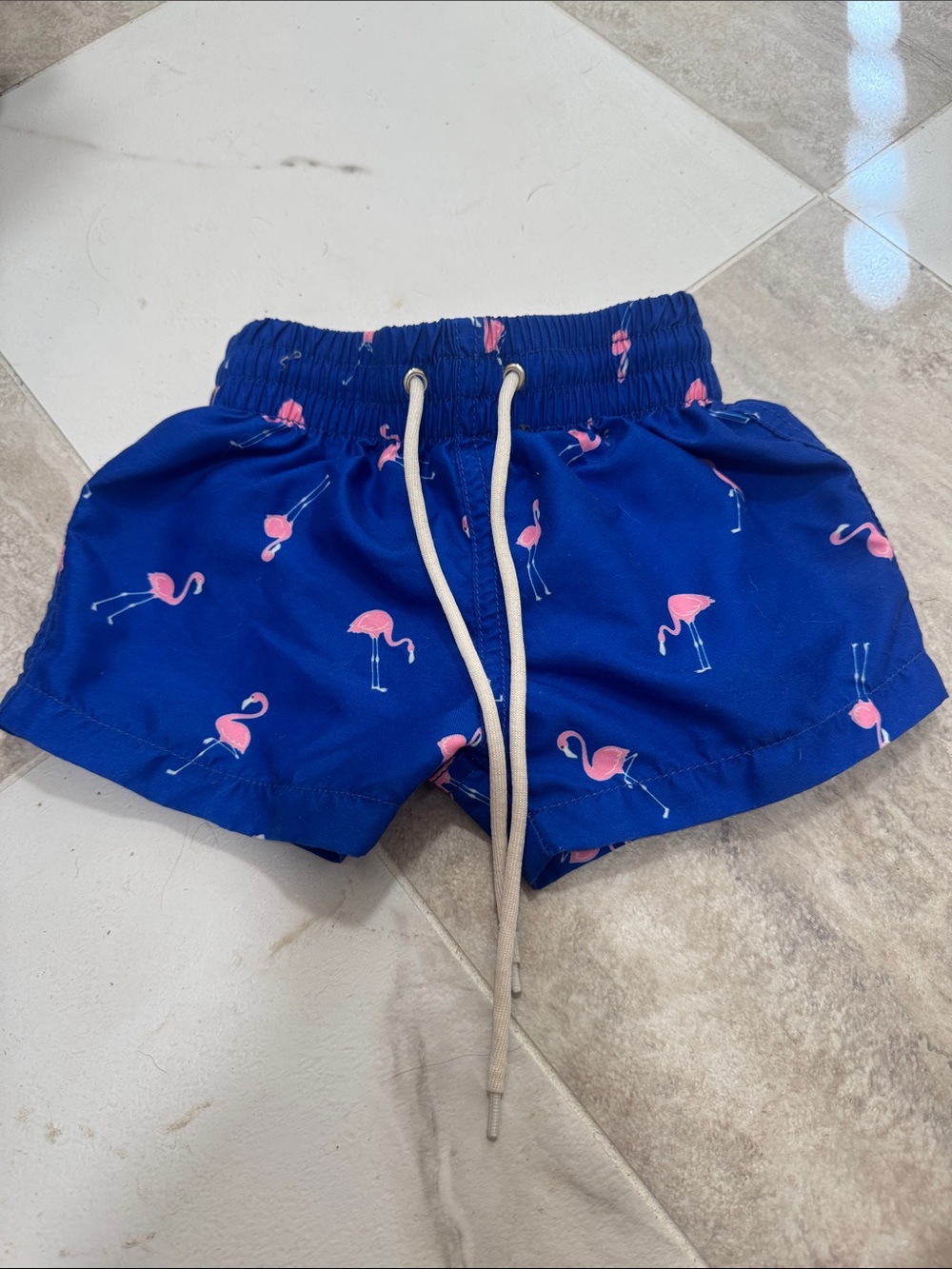Binky Bro Flamingo Print Swim Shorts